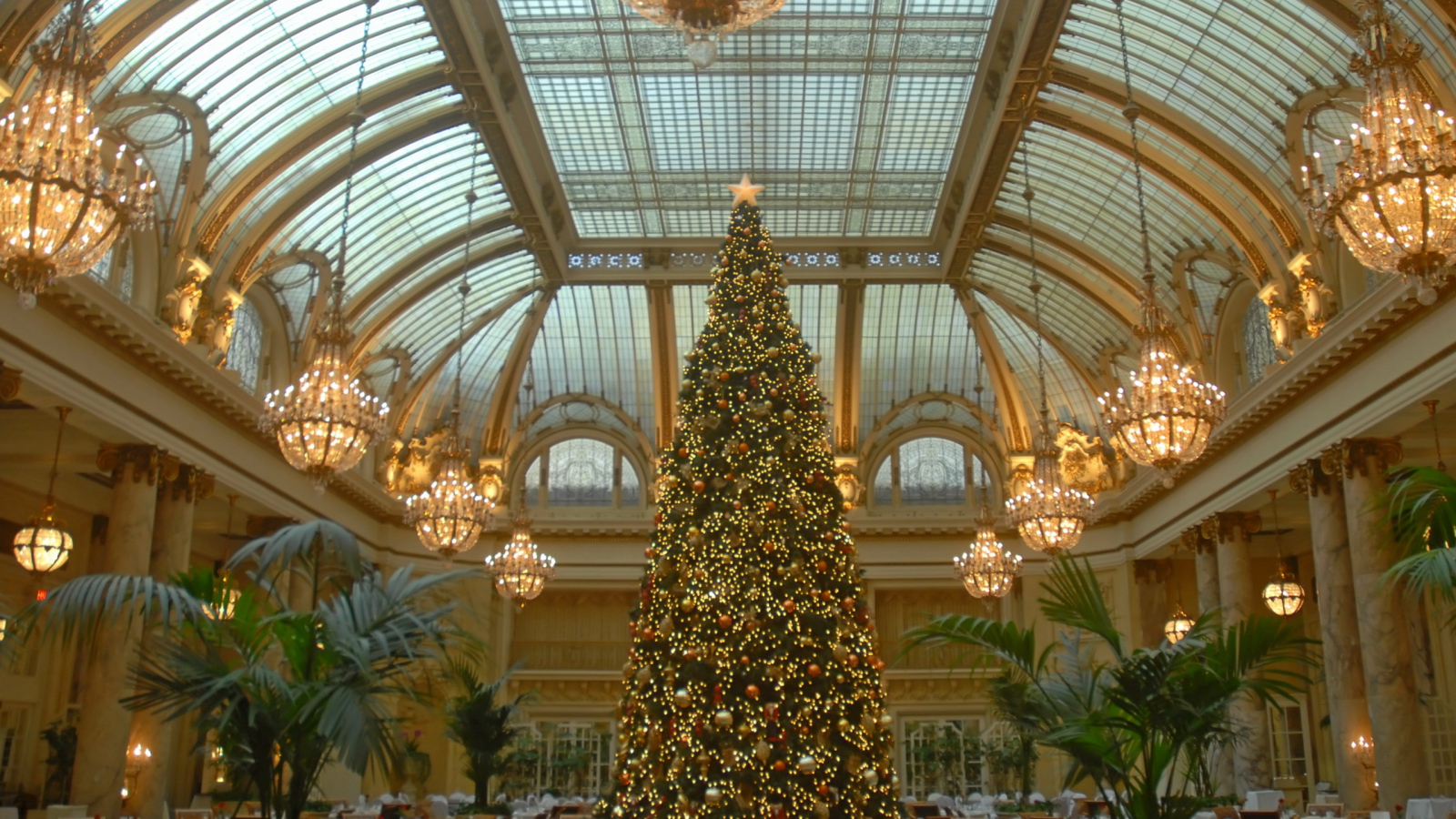 Новогодняя елка в зале