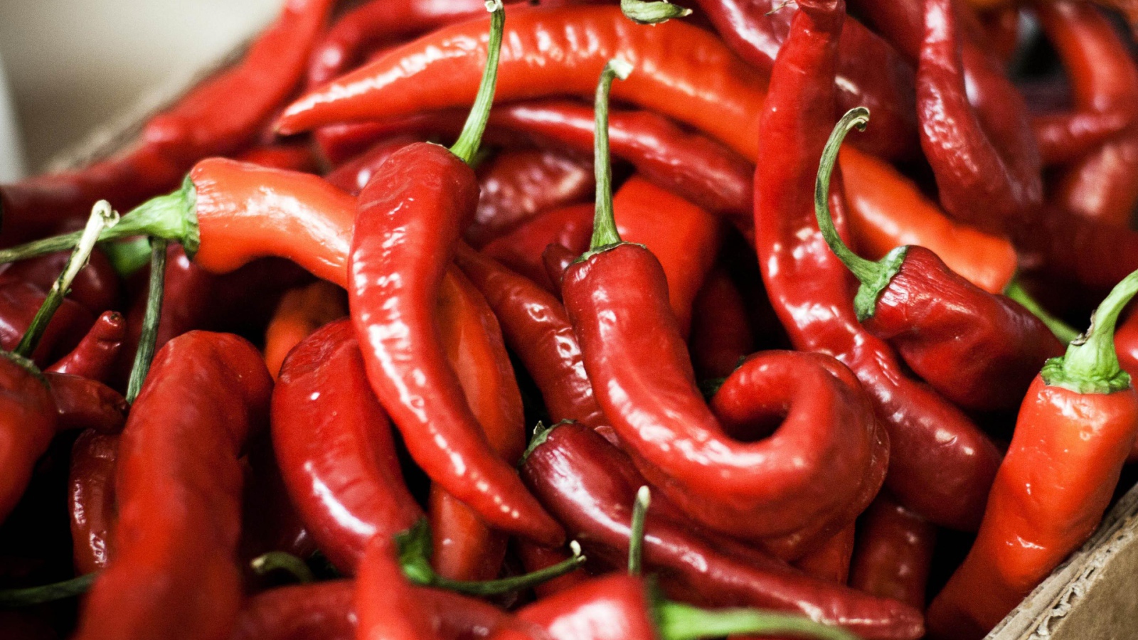 Красный перец