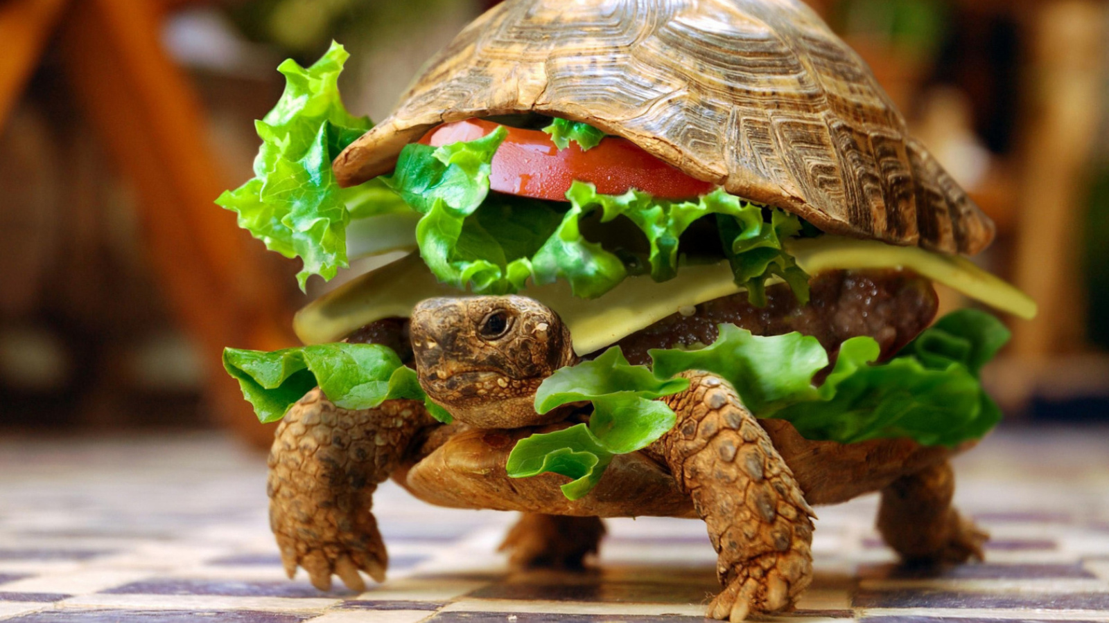 Вкусная черепаха