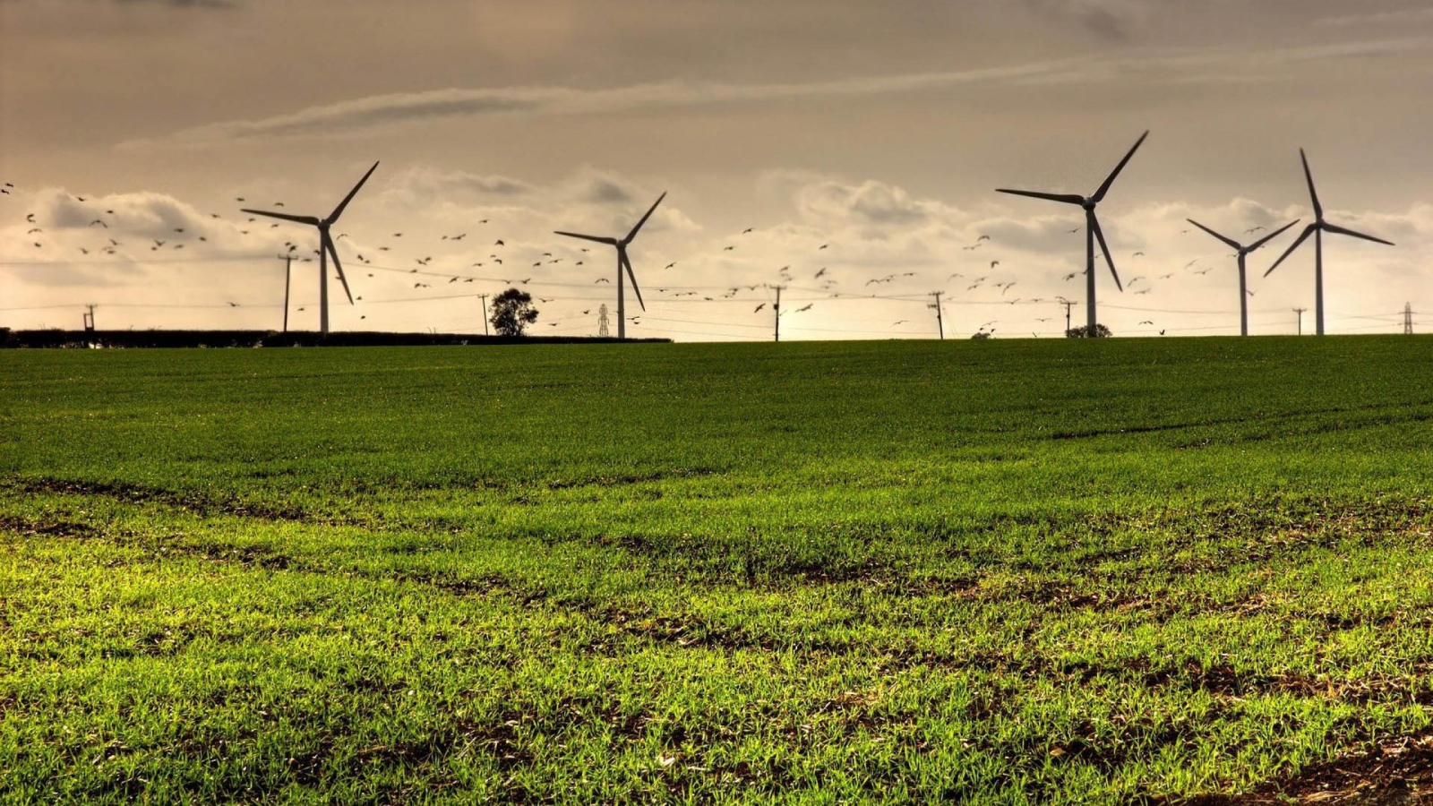Турбины в полях