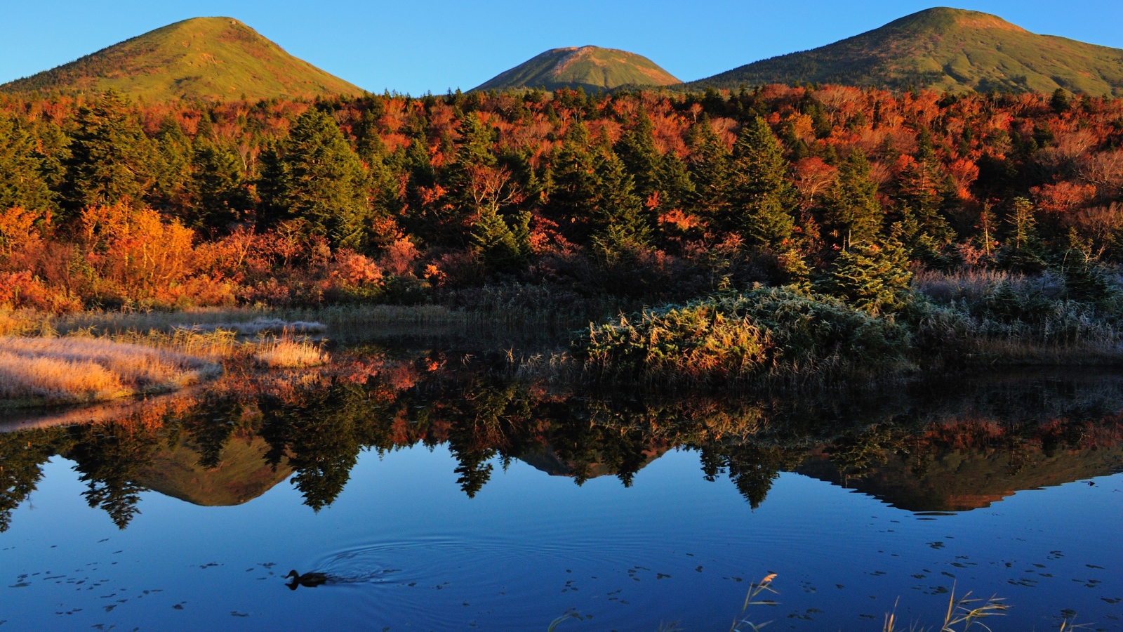 Горы у озера