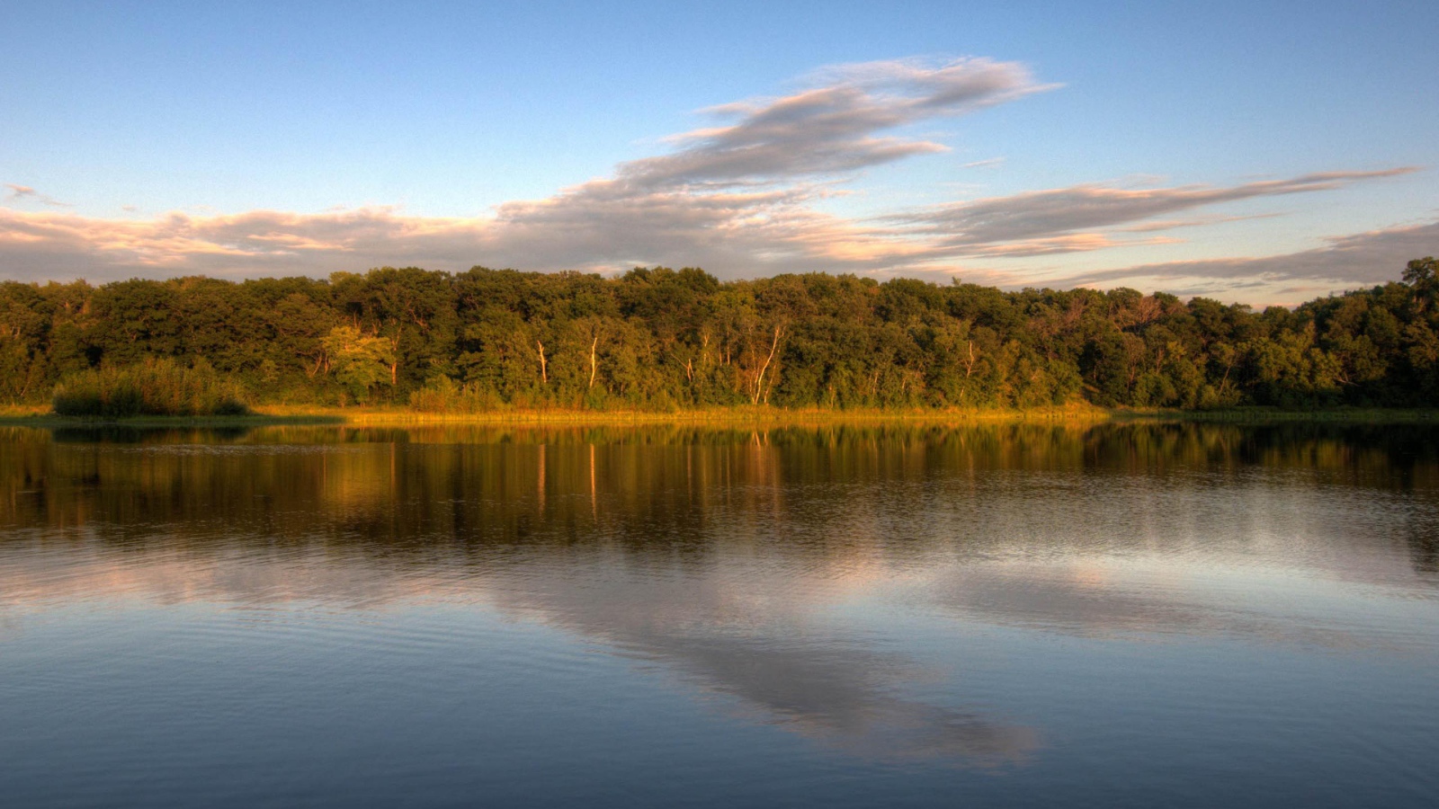 Озеро у леса