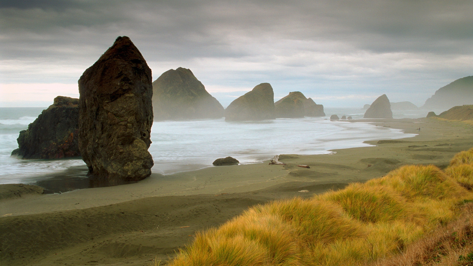 Морское побережье