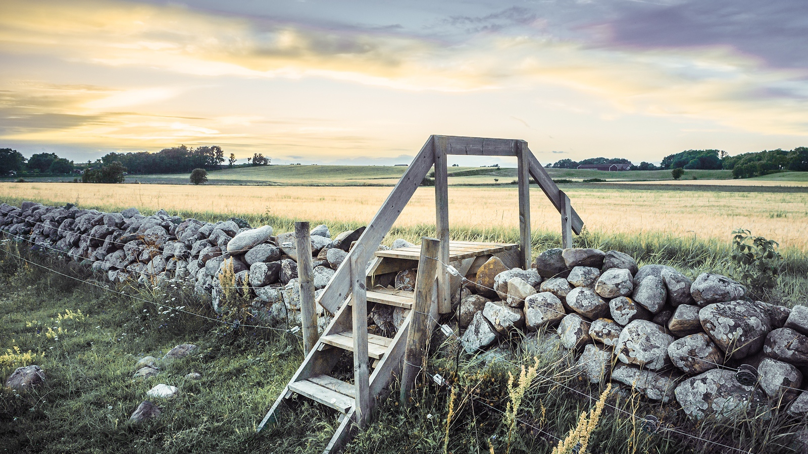 Лестница в поле