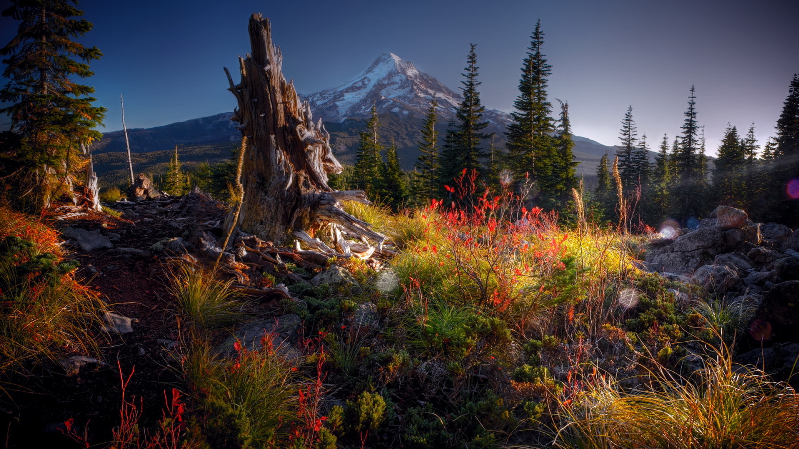 Гора на горизонте