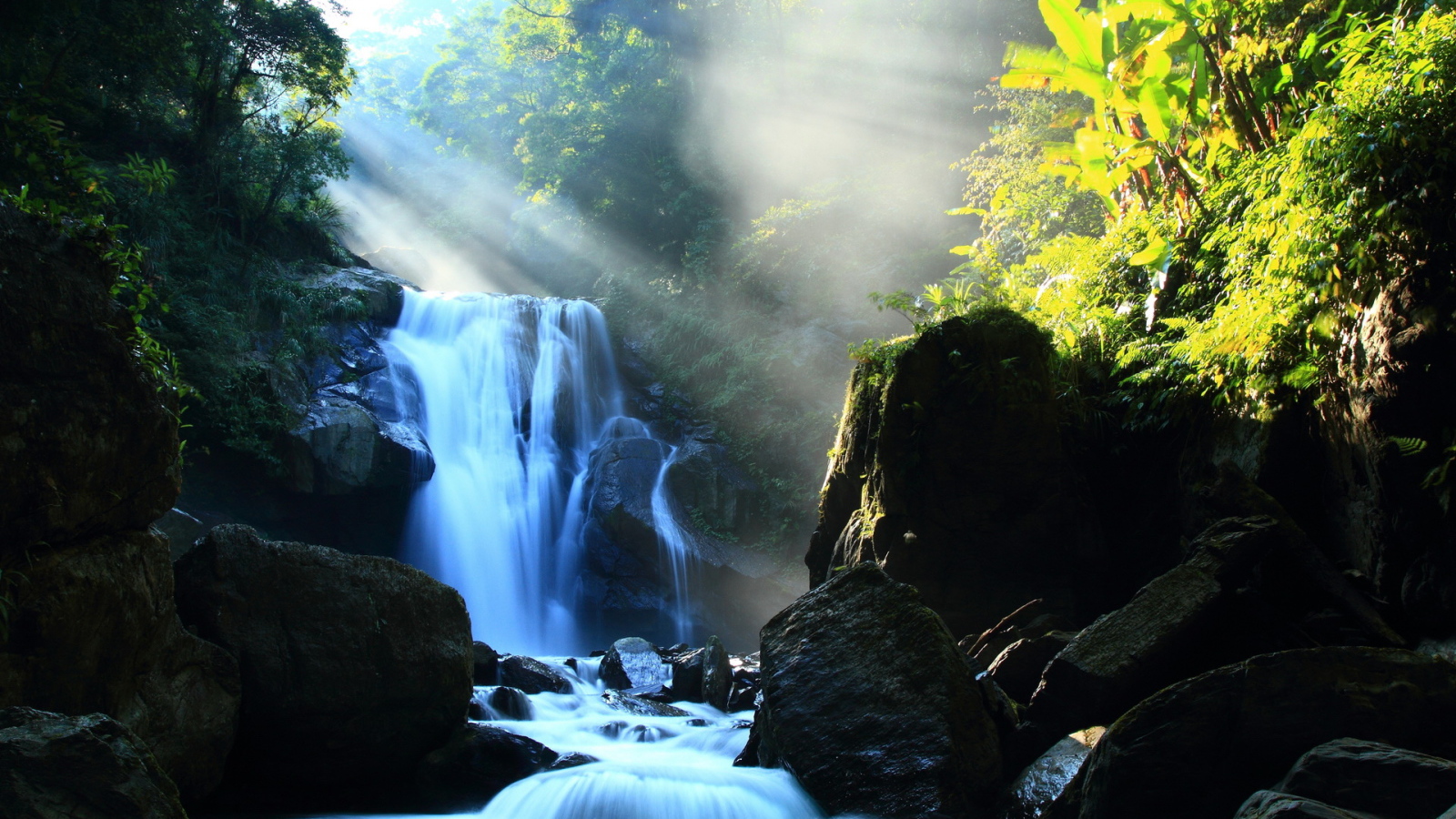 Речка в лесу