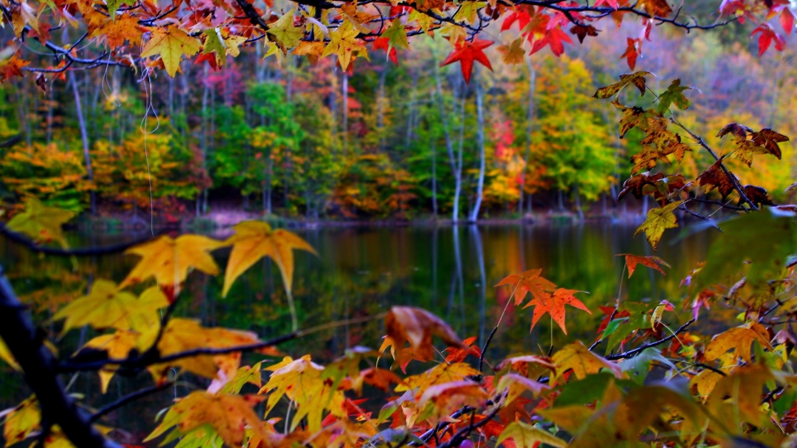 Рамка из осенних листьев