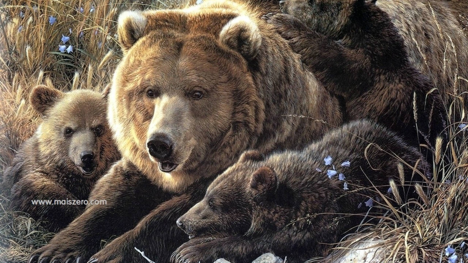 Семья медведей