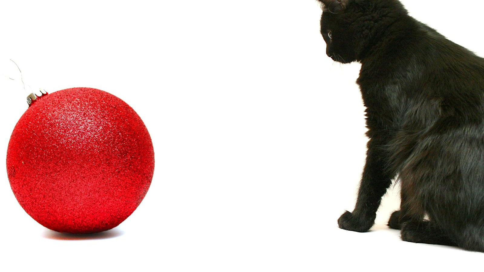Чёрный кот и красный шар