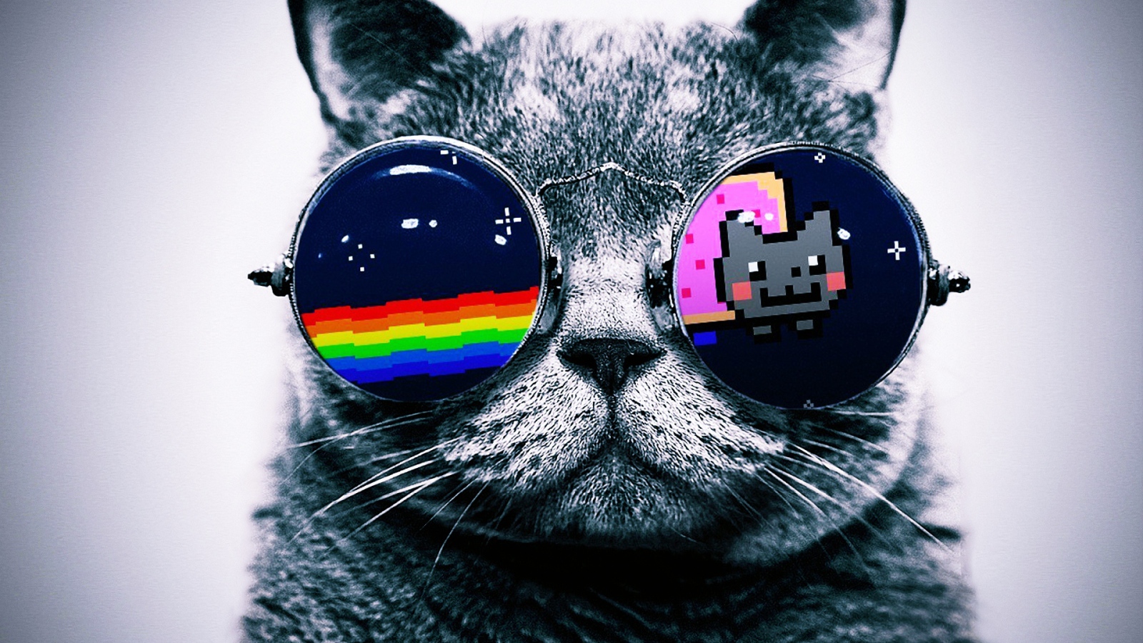 Кот в очках Hello Kitty