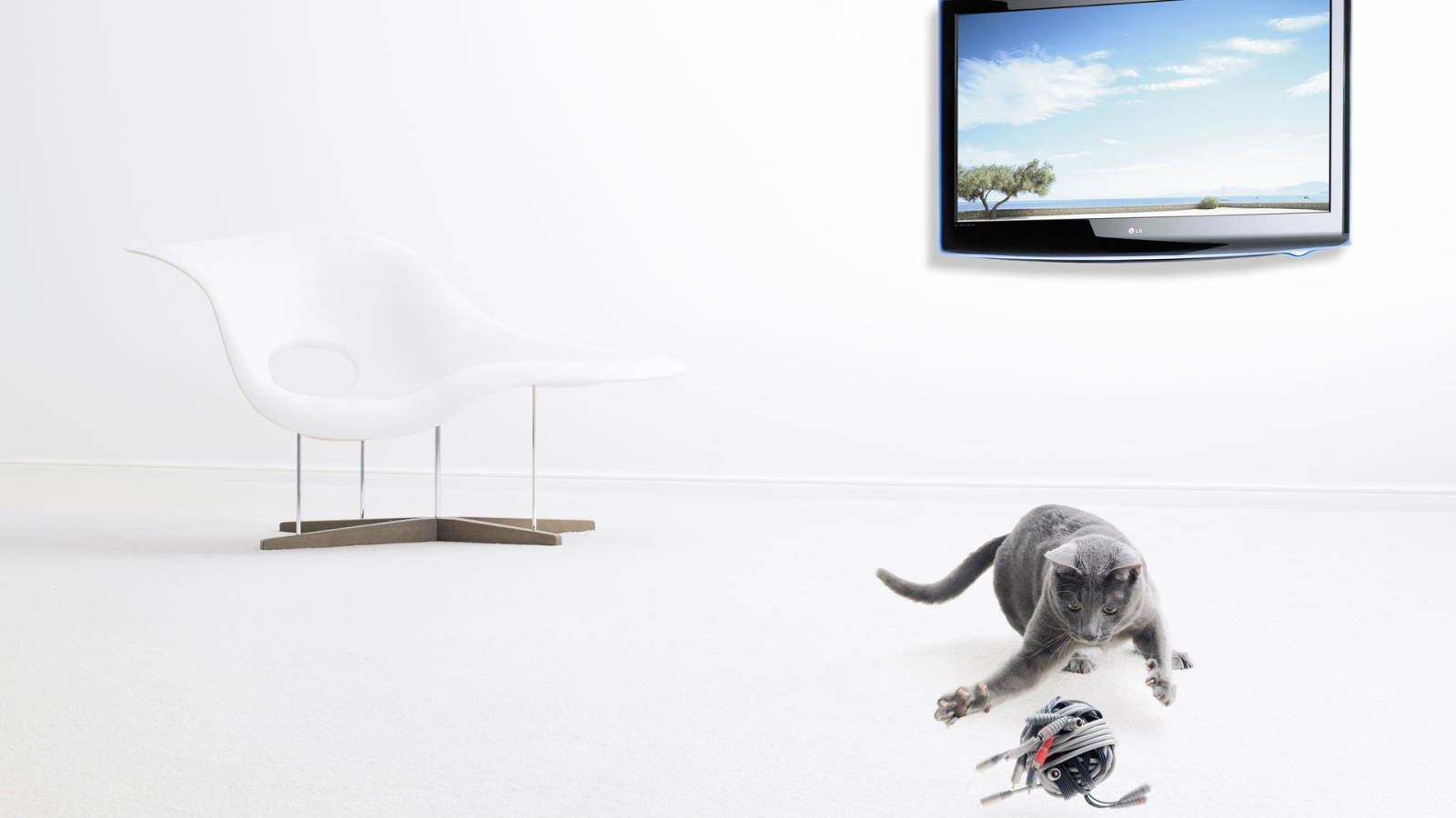 Серый кот и его игрушка