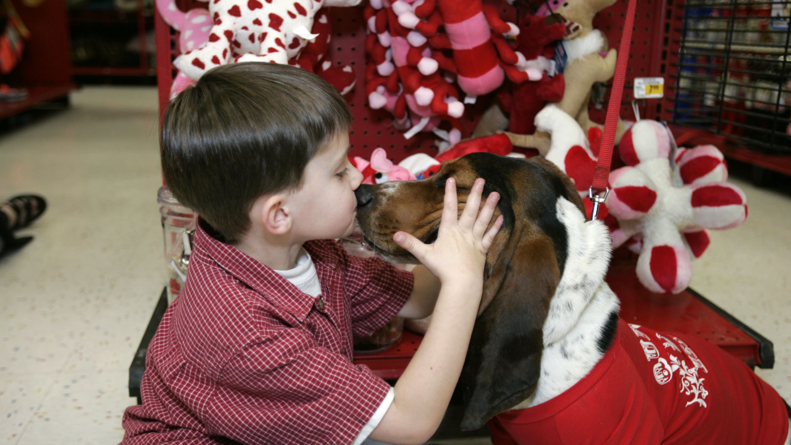 Бассет-хаунд и ребёнок