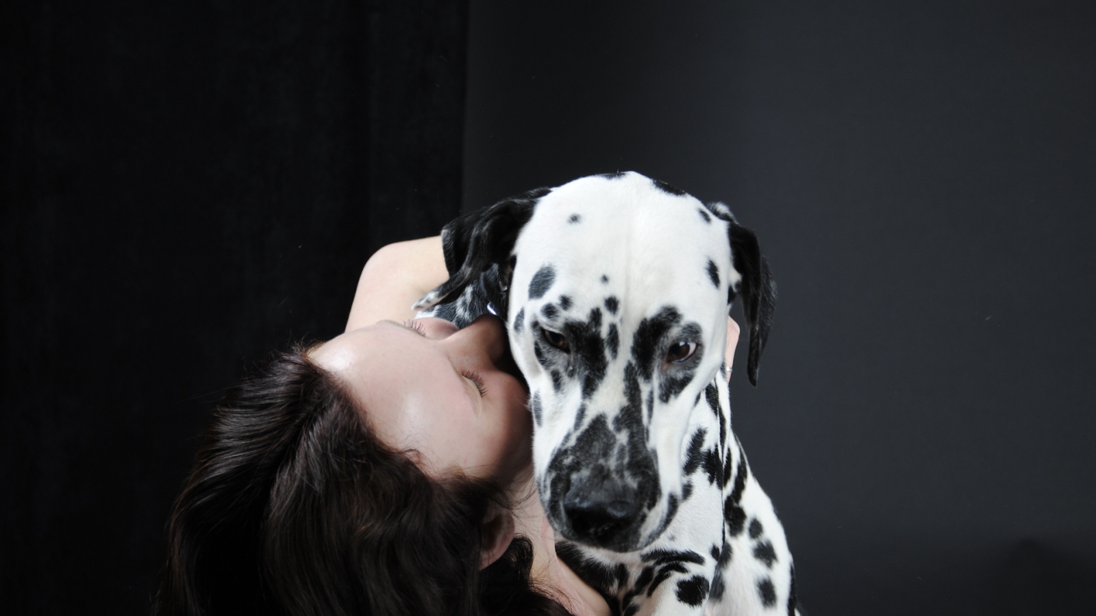 Далматин с его владельцем