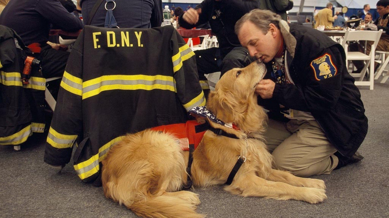 Человек благодарит собаку за помощь