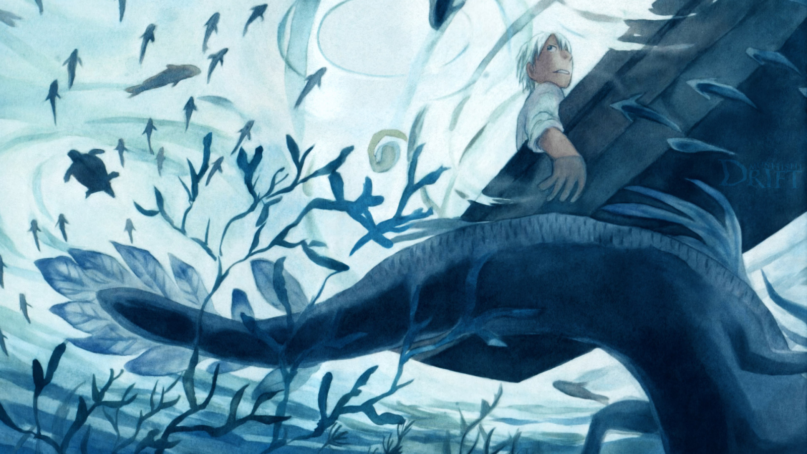 Мастер Муси