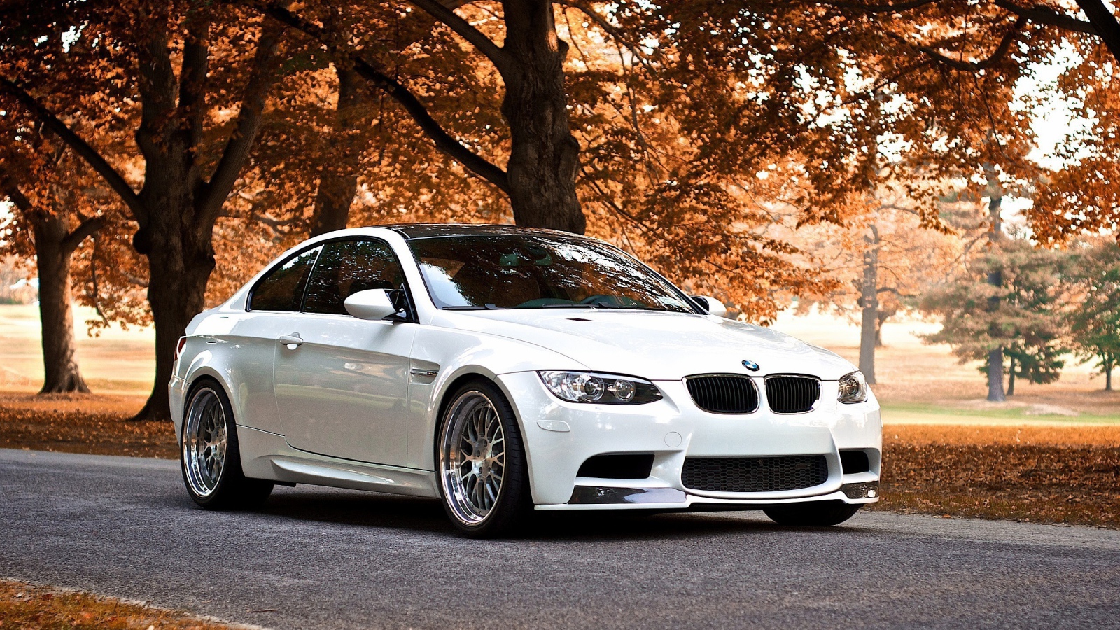 Белый BMW В осеннем парке