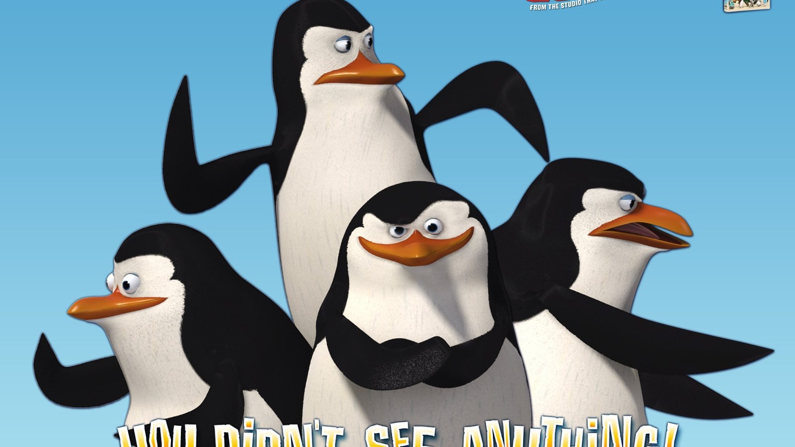Пингвины из Мадагаскара