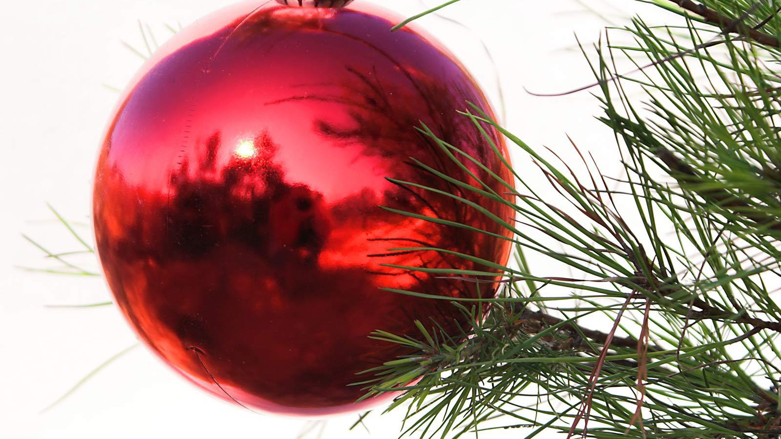 Красный шар на ёлке на рождество