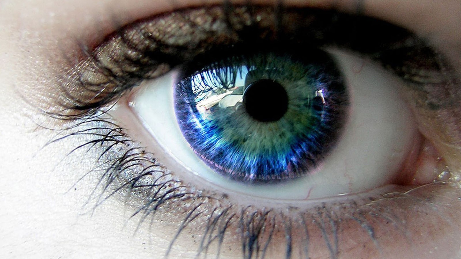 Голубой глаз с отражением