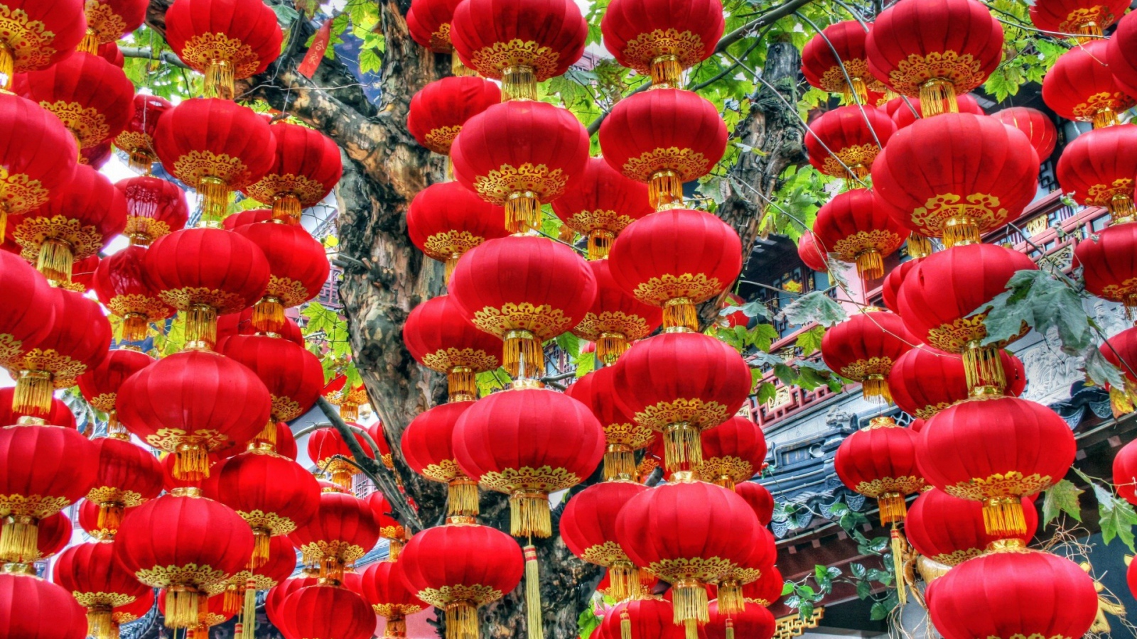 Красные китайские фонарики