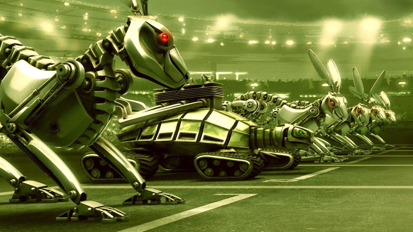 Гонка с черепахой