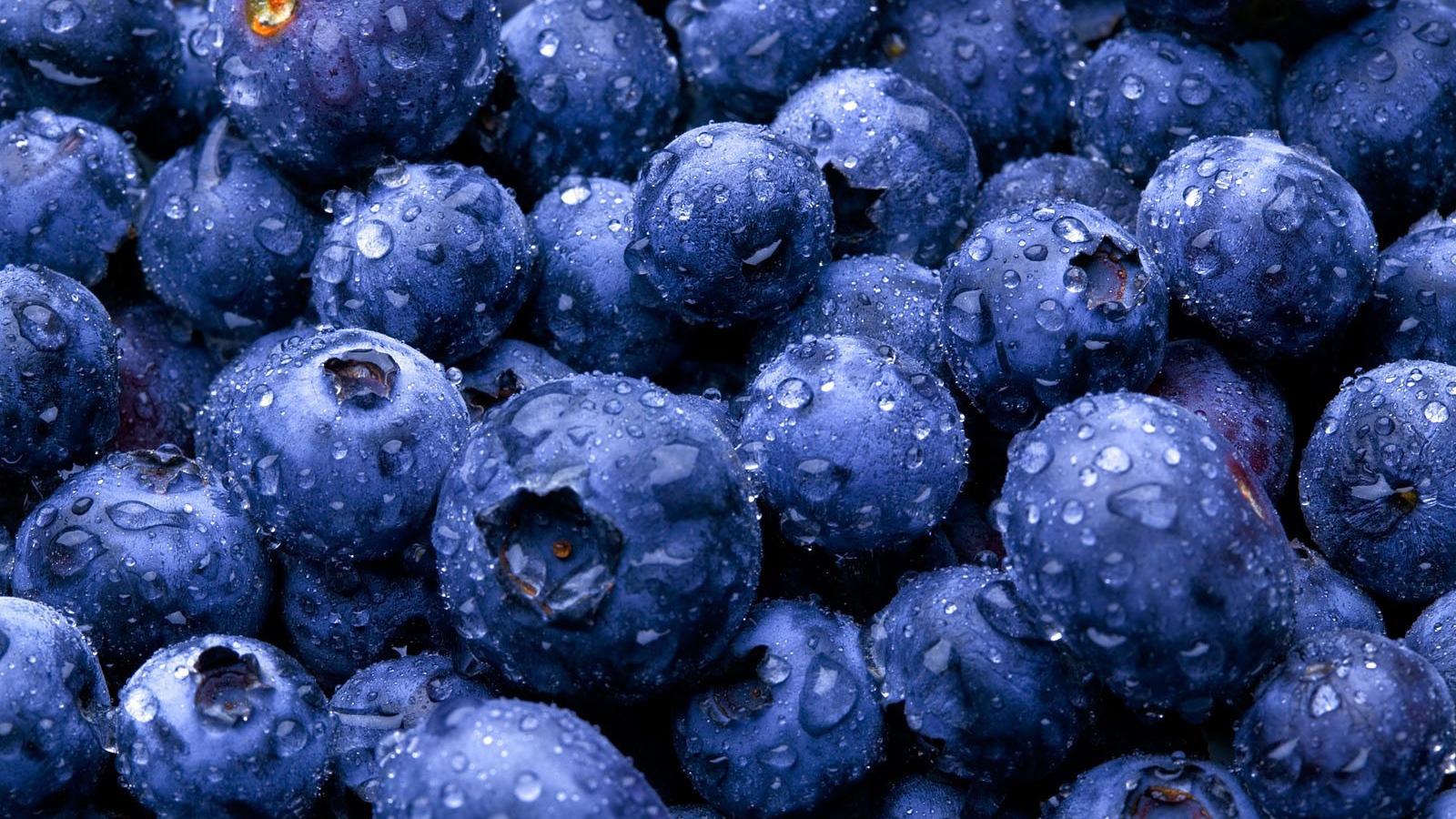 Голубика в капельках воды