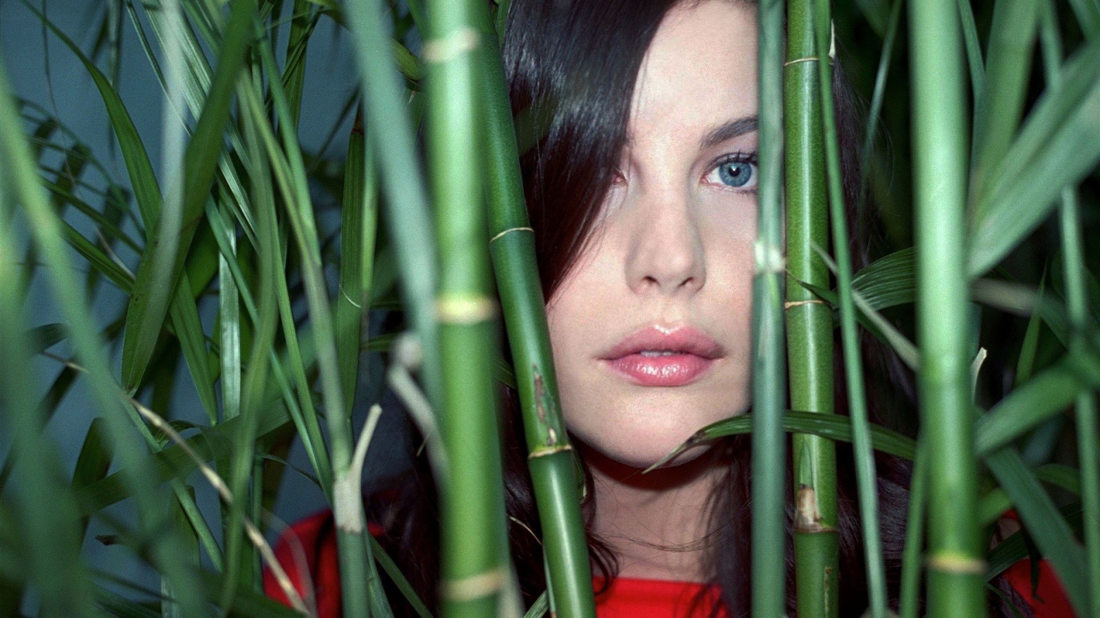 Liv Tyler in bamboo