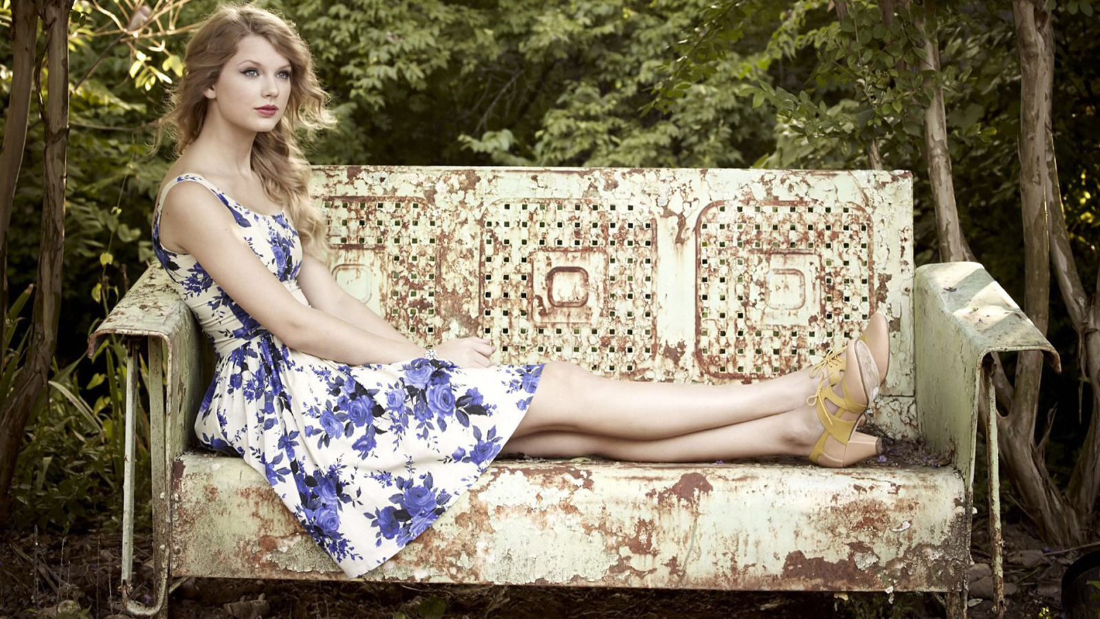 Taylor Swift на старой скамейке