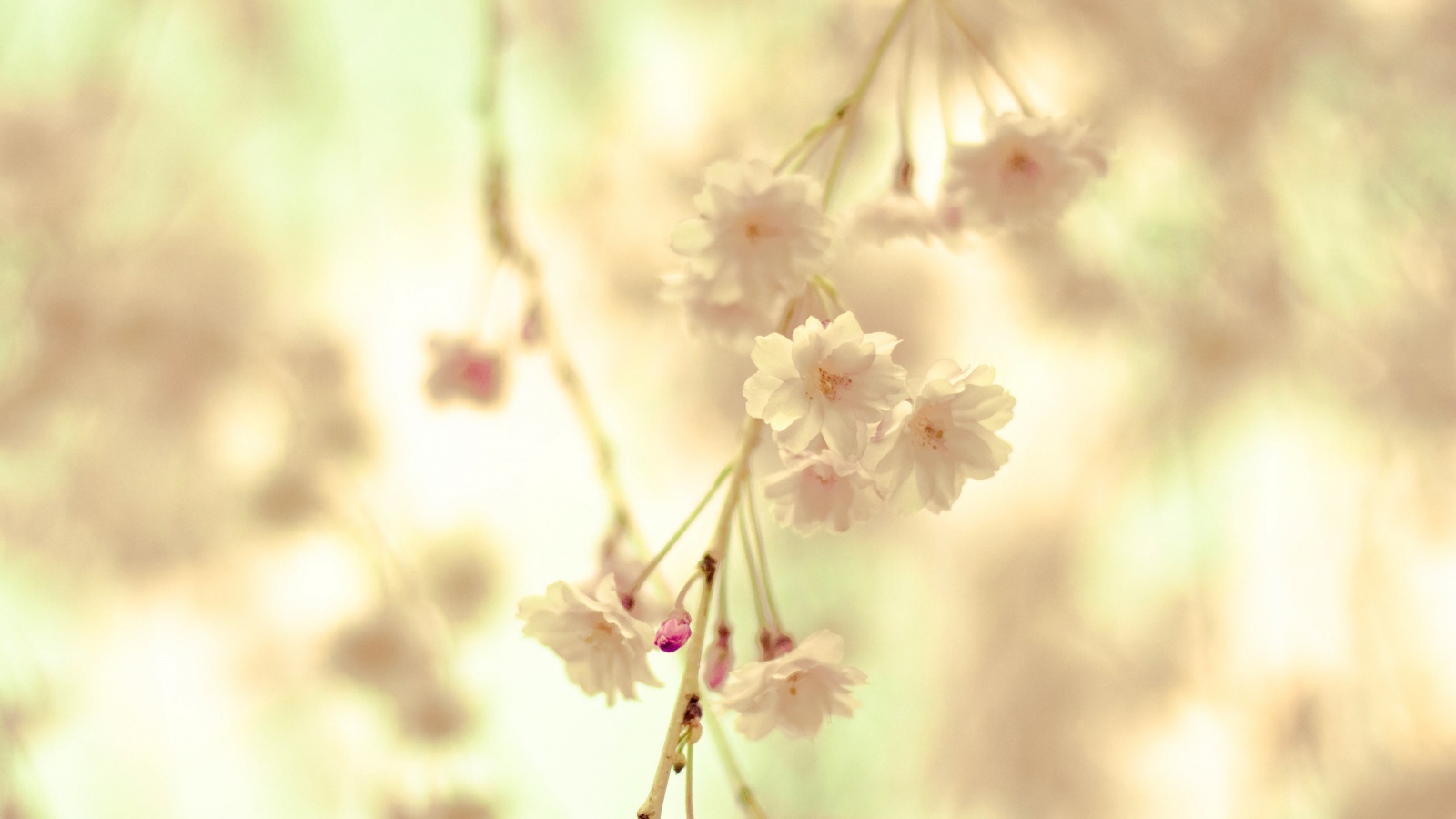 Цветочная веточка