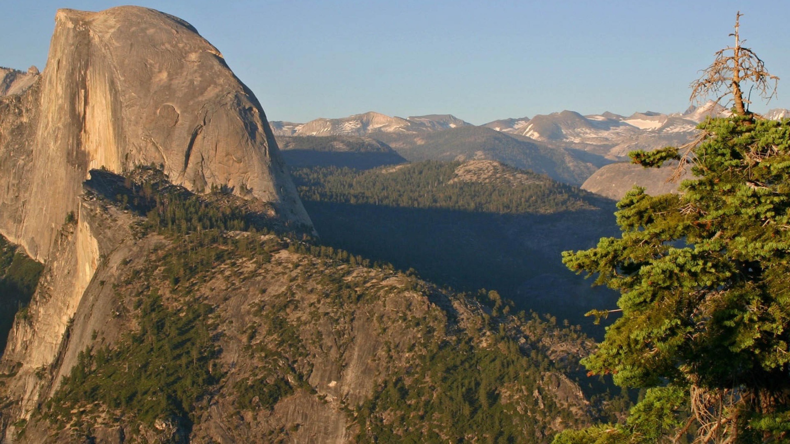 Горы и елка