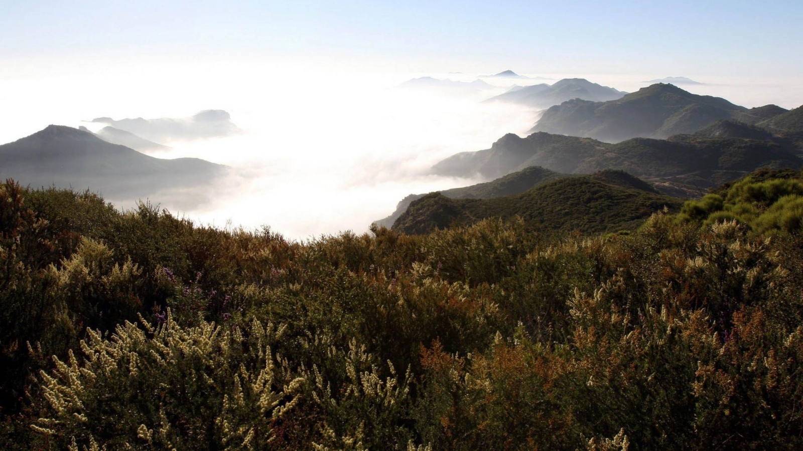 Горы в туманых облаках