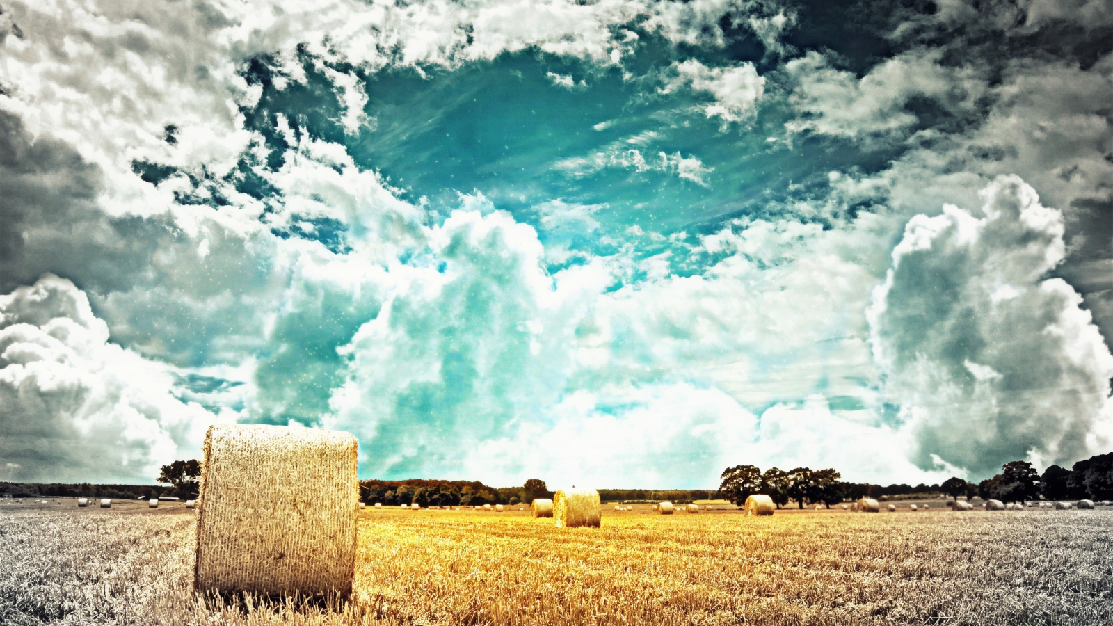 Тучи над полем