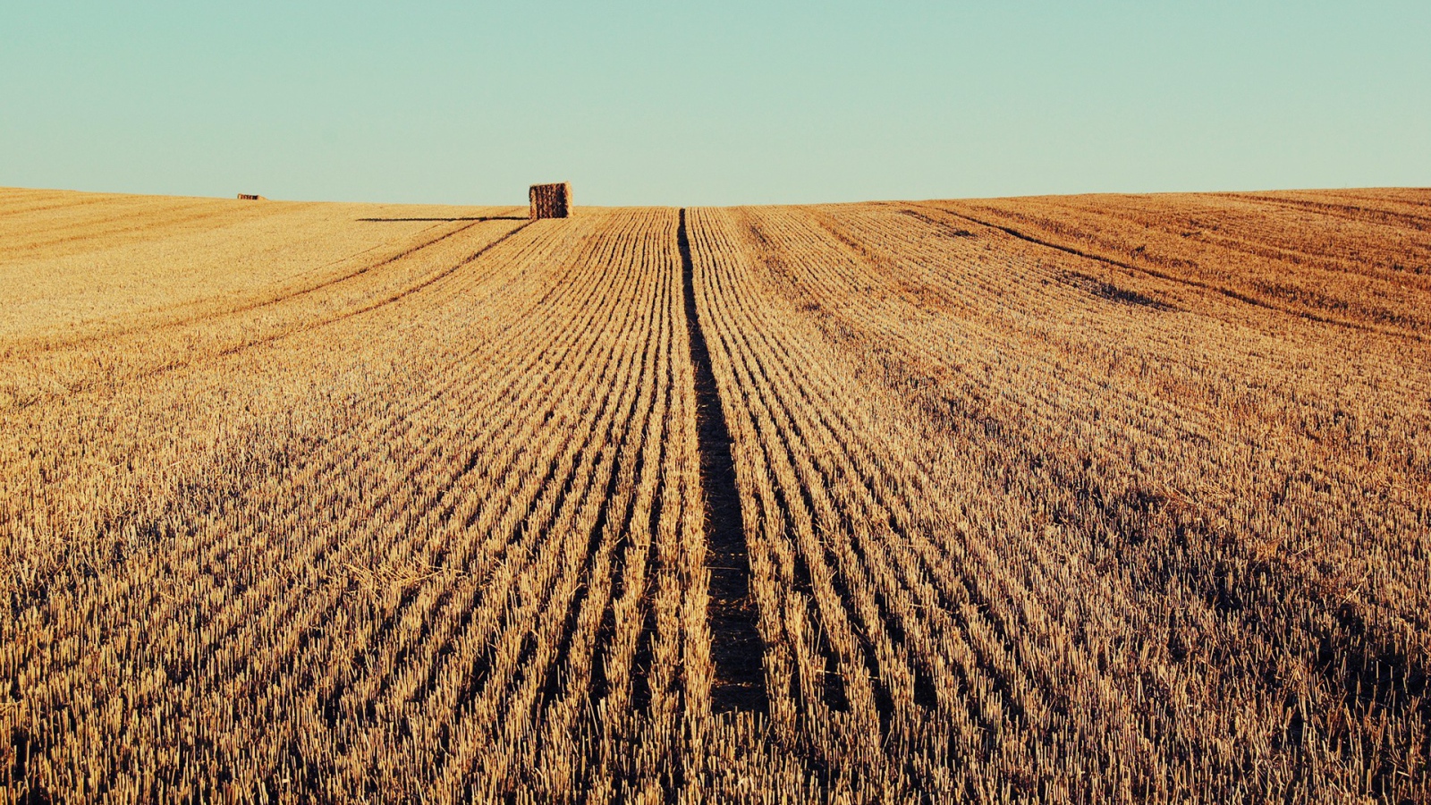 Осень скошенное поле