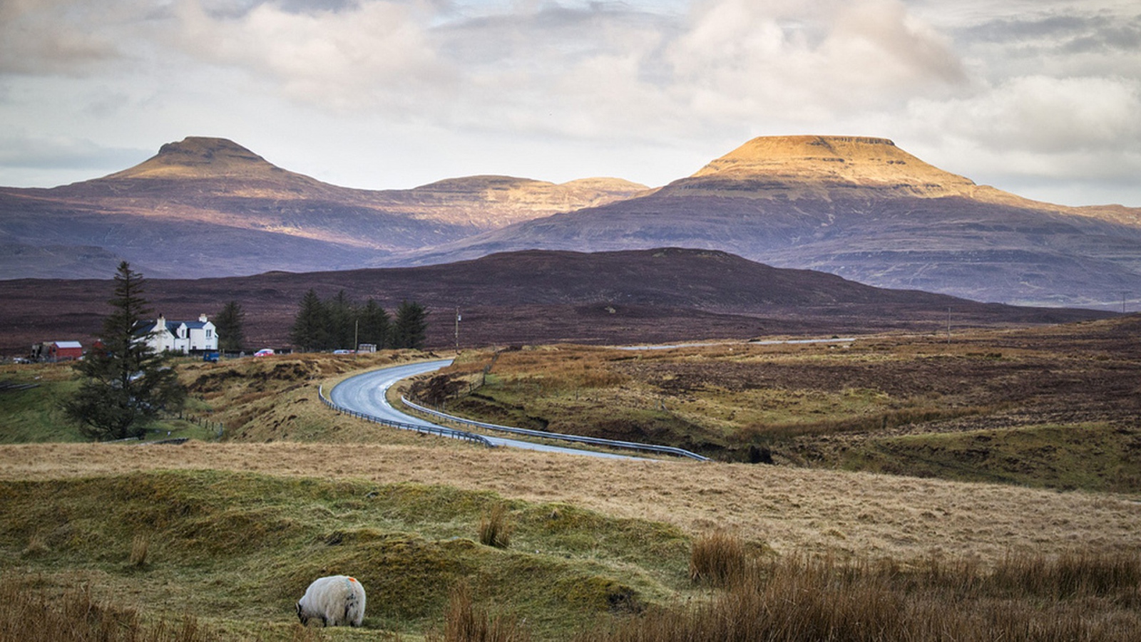 Дорога через поле в горы