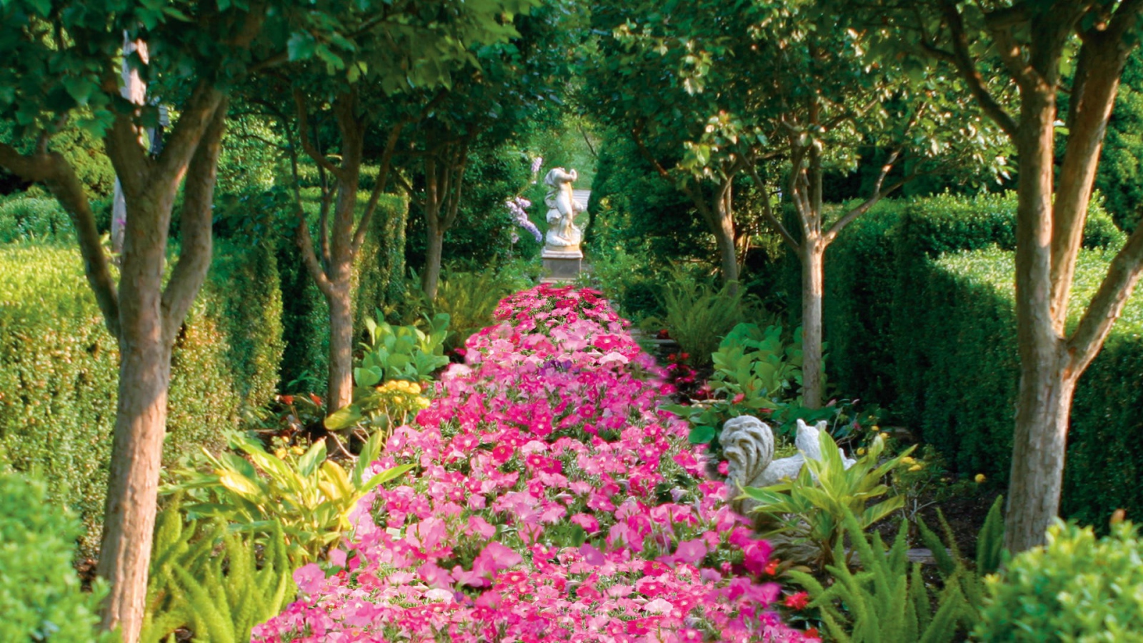 Аллея засаженная цветами