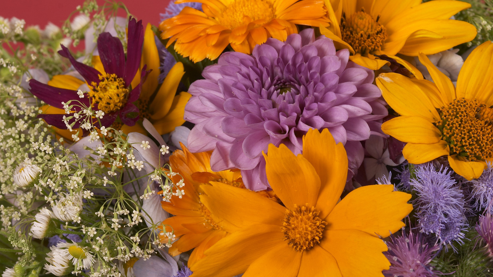 Красочный букет цветов