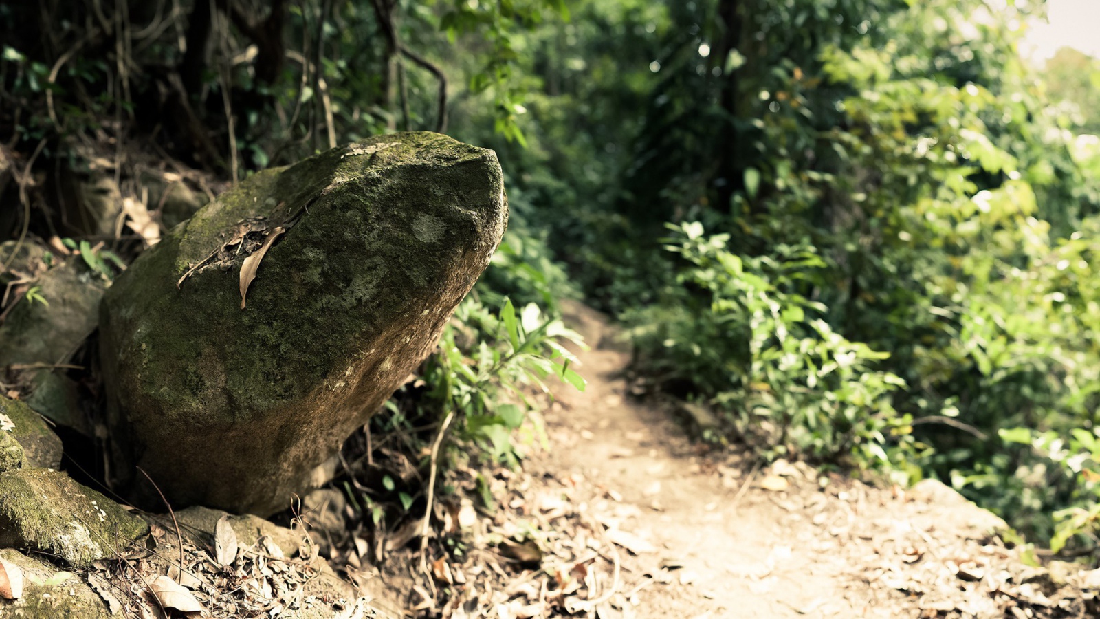 Камень у дороги