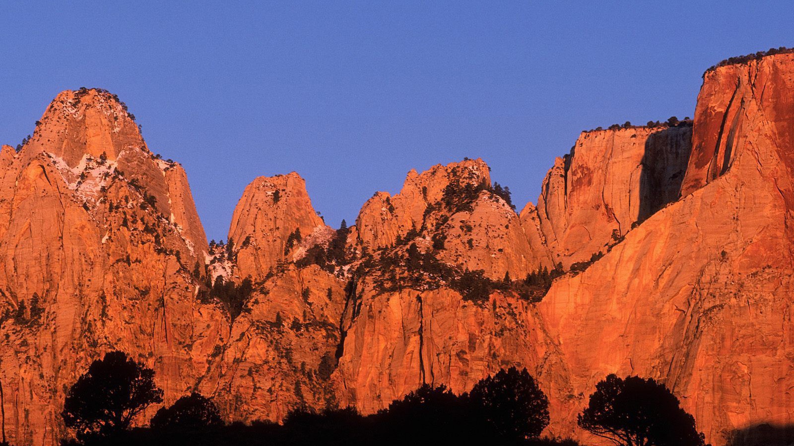 Красивый горный пейзаж с деревьями