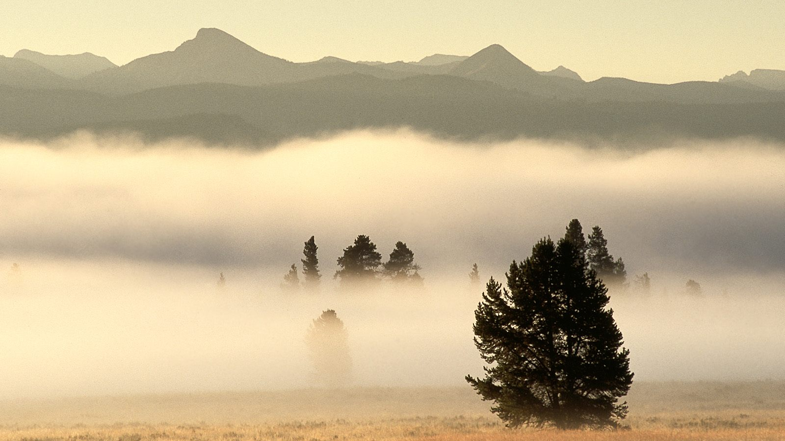 Туман на долине в горах