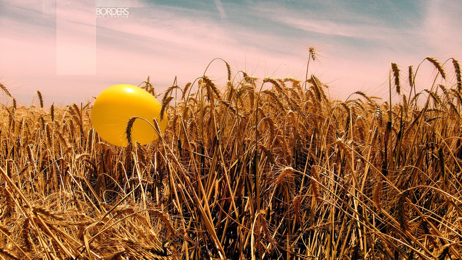 Шарик на пшенице