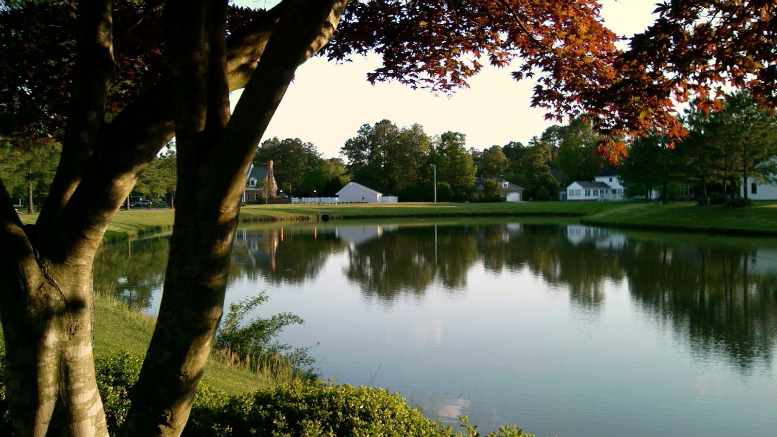 Тихий пруд в Германии