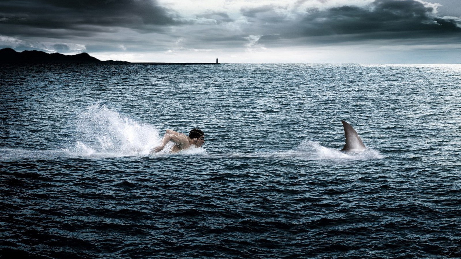 Человек плывет за акулой