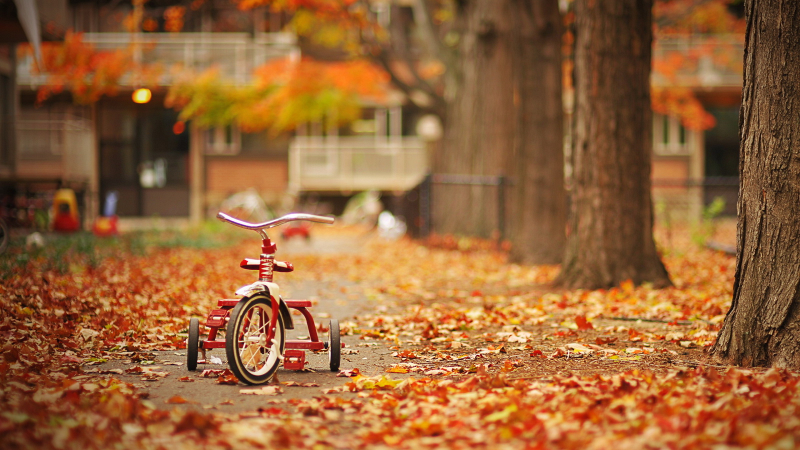 Трехколесный велосипед в осеннем парке