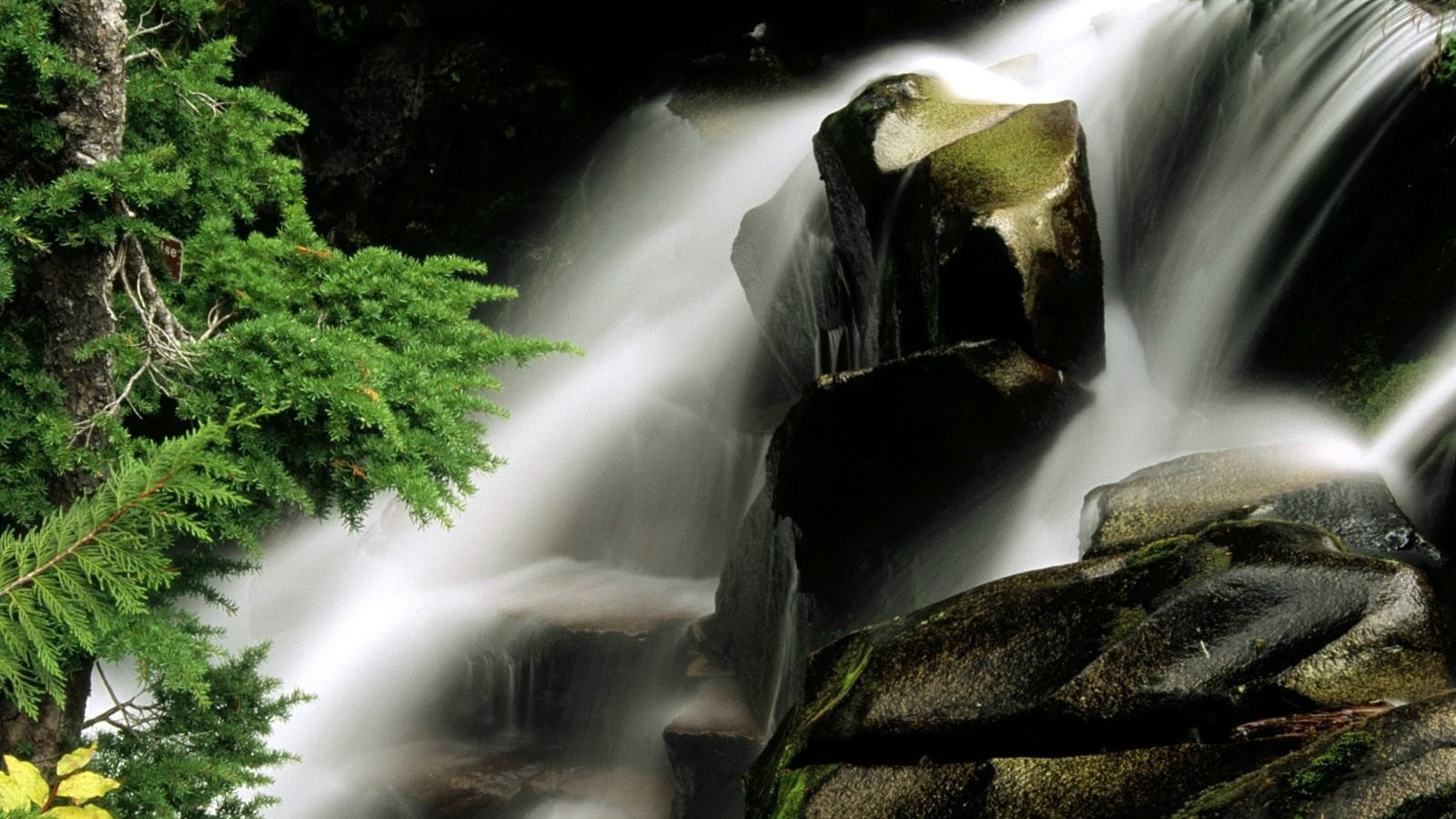 Водопад среди деревьев