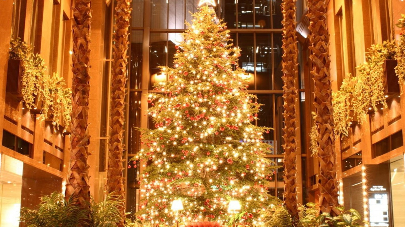 Красивая елка к Новому Году лошади