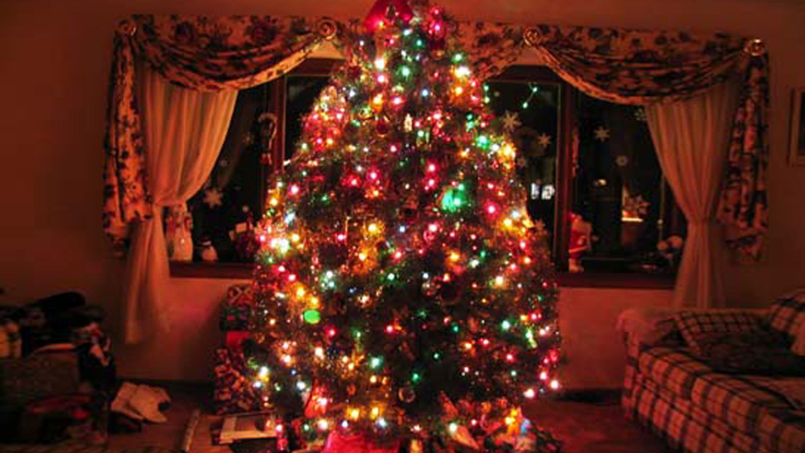 Огромная Новогодняя елка