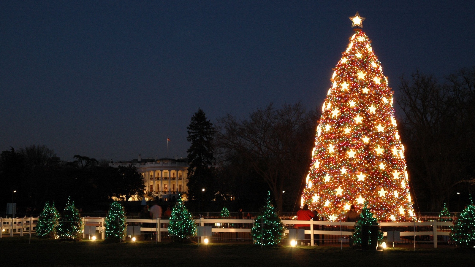 Национальная Новогодняя елка в год лошади 2014