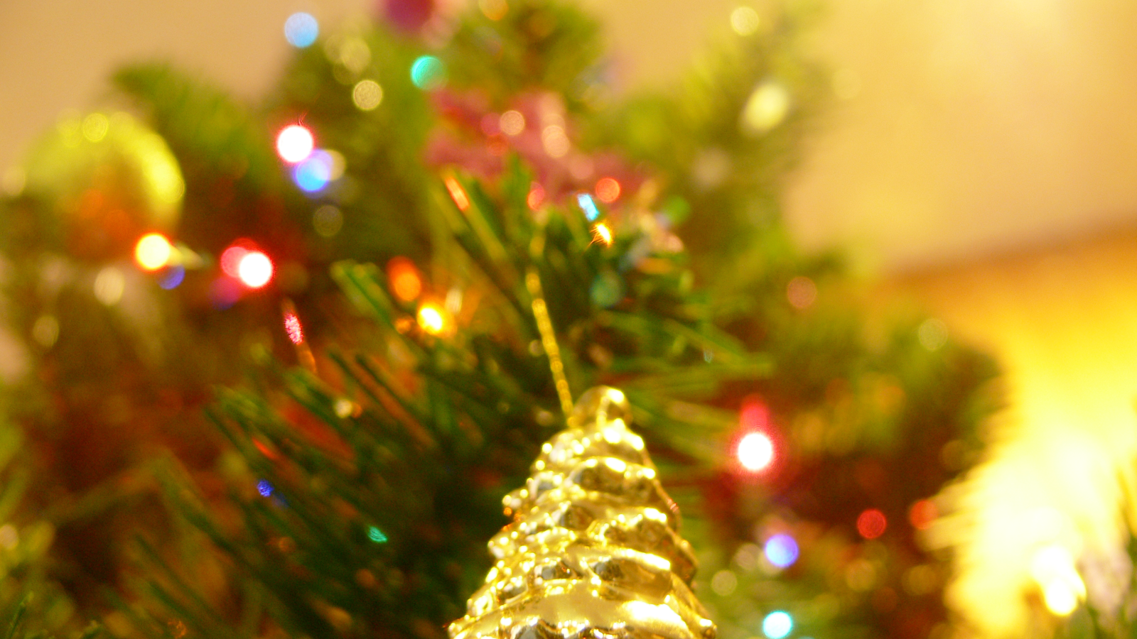 Новогодняя елка в ярких огнях