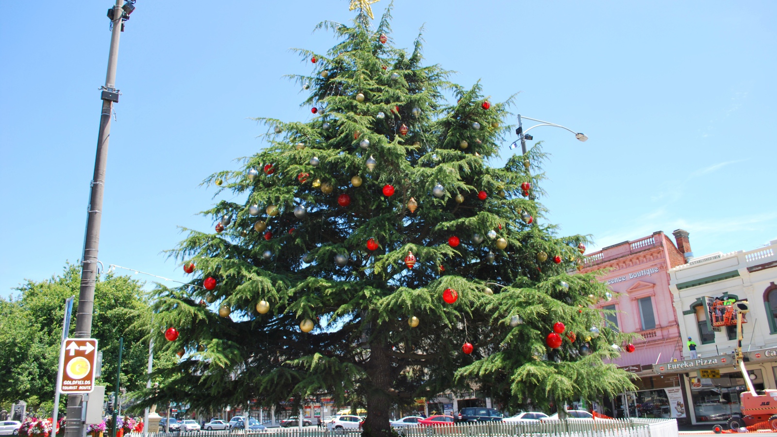 Красивая Новогодняя елка в жаркой стране