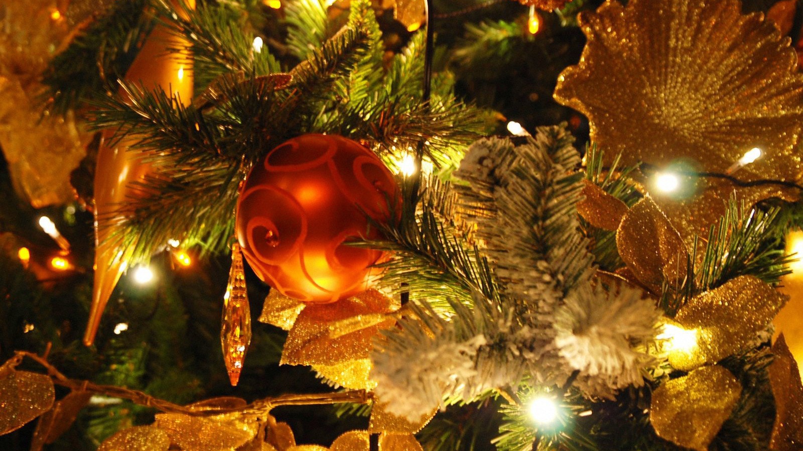 расивая Новогодняя елка с небольшой красный игрушкой